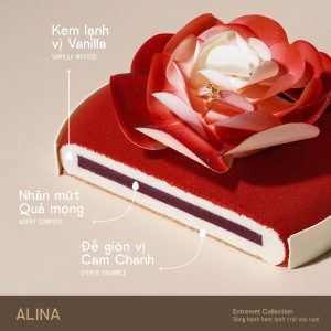 Alternative view of ALINA